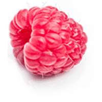 raspberry